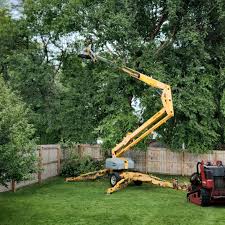 Best Tree Cabling and Bracing  in Pensacola Station, FL